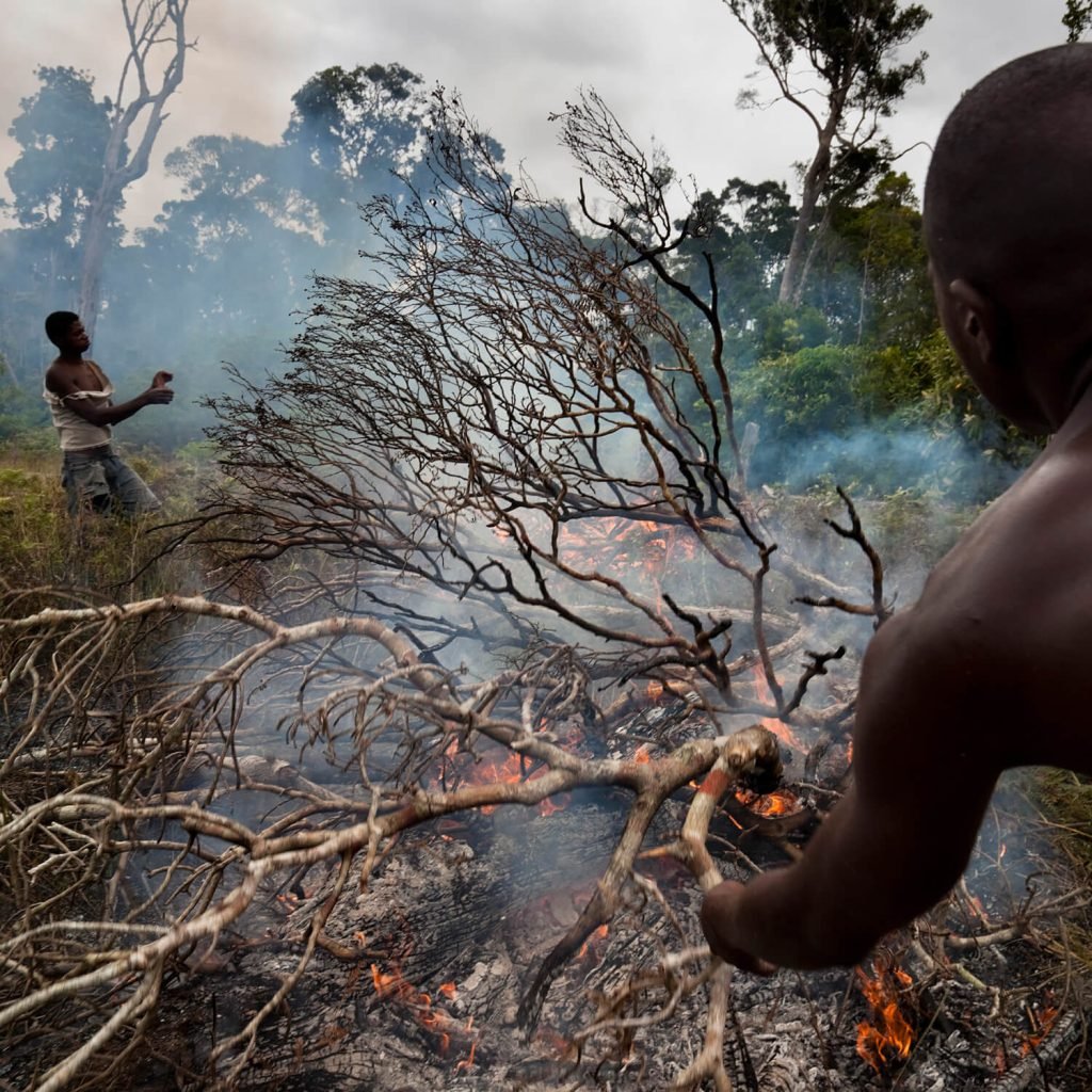 Climate Change & Mitigation